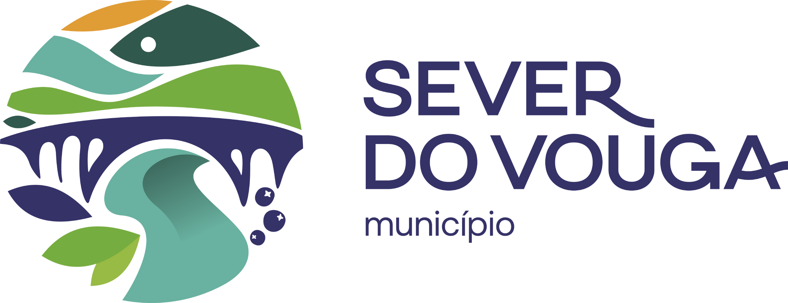 Munícipio de Sever do Vouga (voltar ao início)