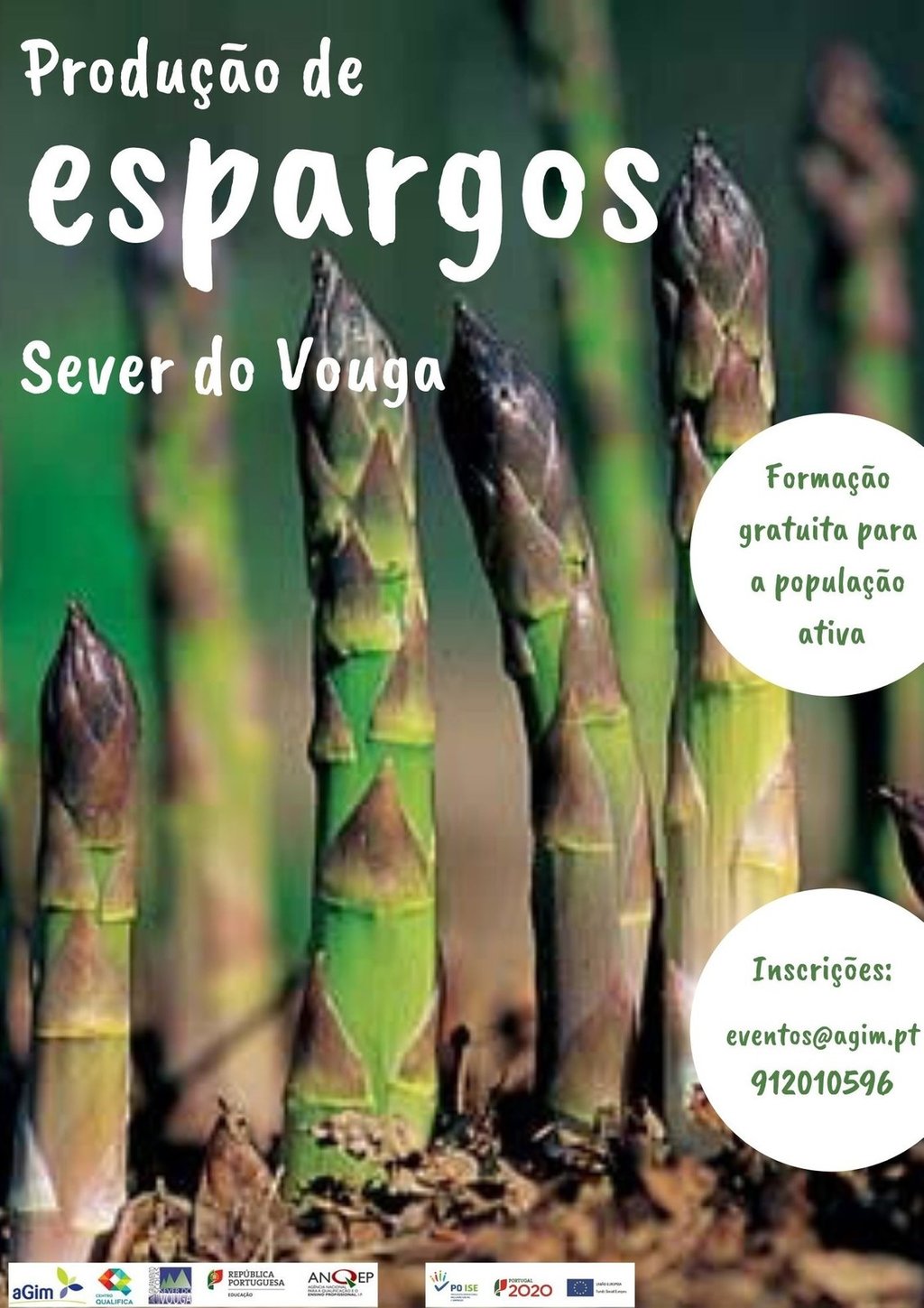 Producao de espargos agim 1 1024 2500
